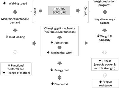 Walking in Hypoxia: An Efficient Treatment to Lessen Mechanical Constraints and Improve Health in Obese Individuals?